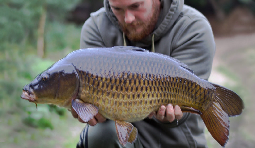 An hours stalking lead to stunning common!