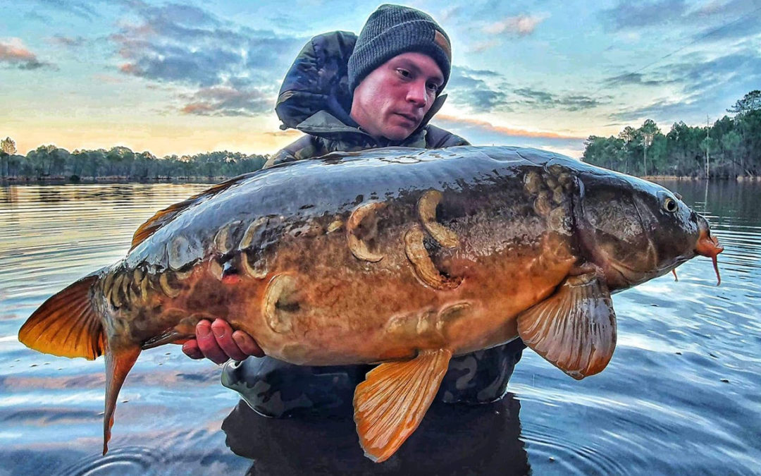 Rainbow Session