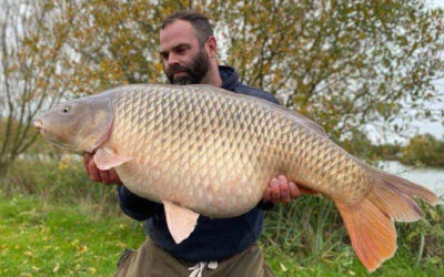 Everyone loves a big Common!