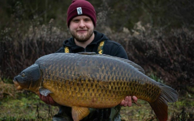 Stunning Winter Common