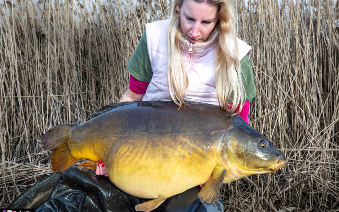 20kg+ Winter Carp