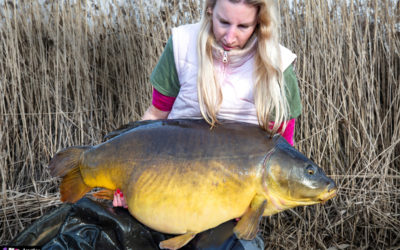 20kg+ Winter Carp