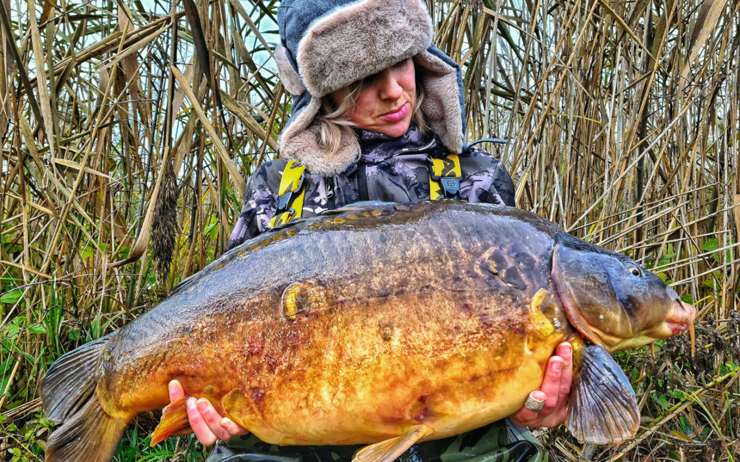 Kelly Monteyne – Island Lake