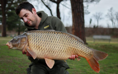 Zigs in Winter