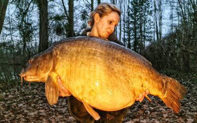 Island Lake Mirror