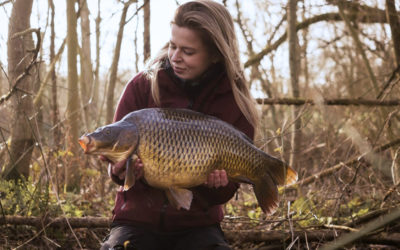 Immaculate Common
