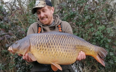 Mega Common
