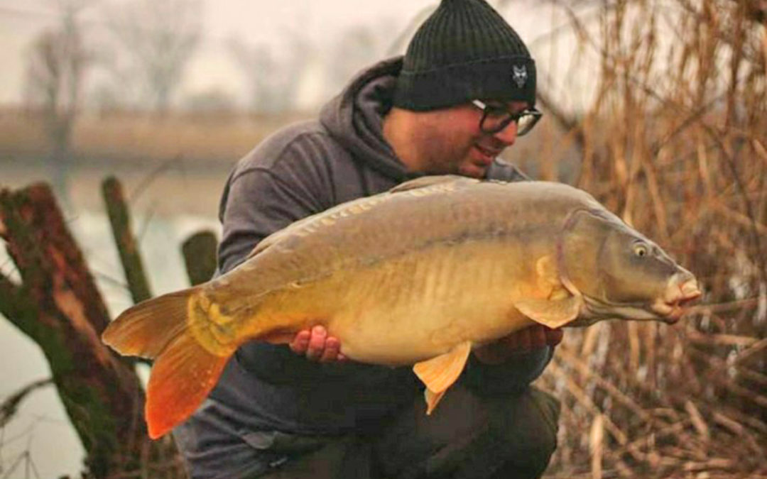 Mitch karpfenangler