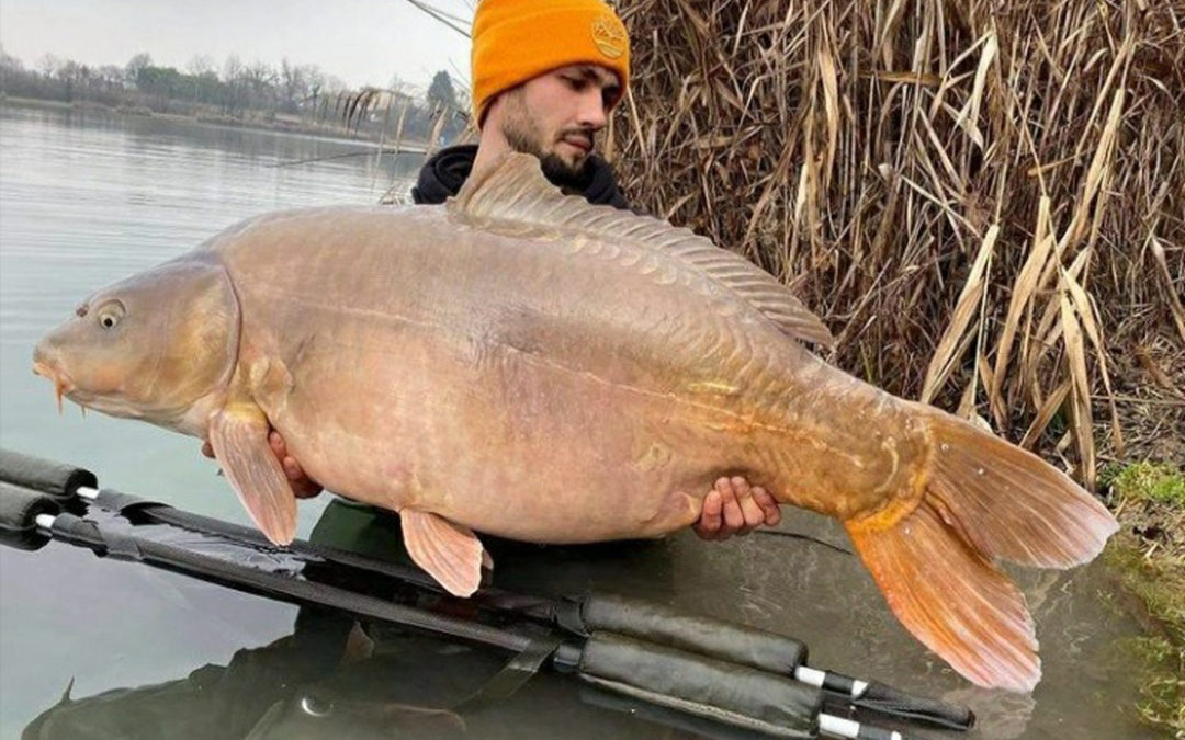 Italian Mirror