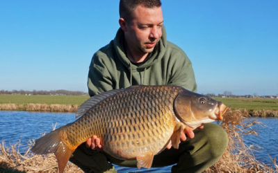 Tim Van Hamersveld