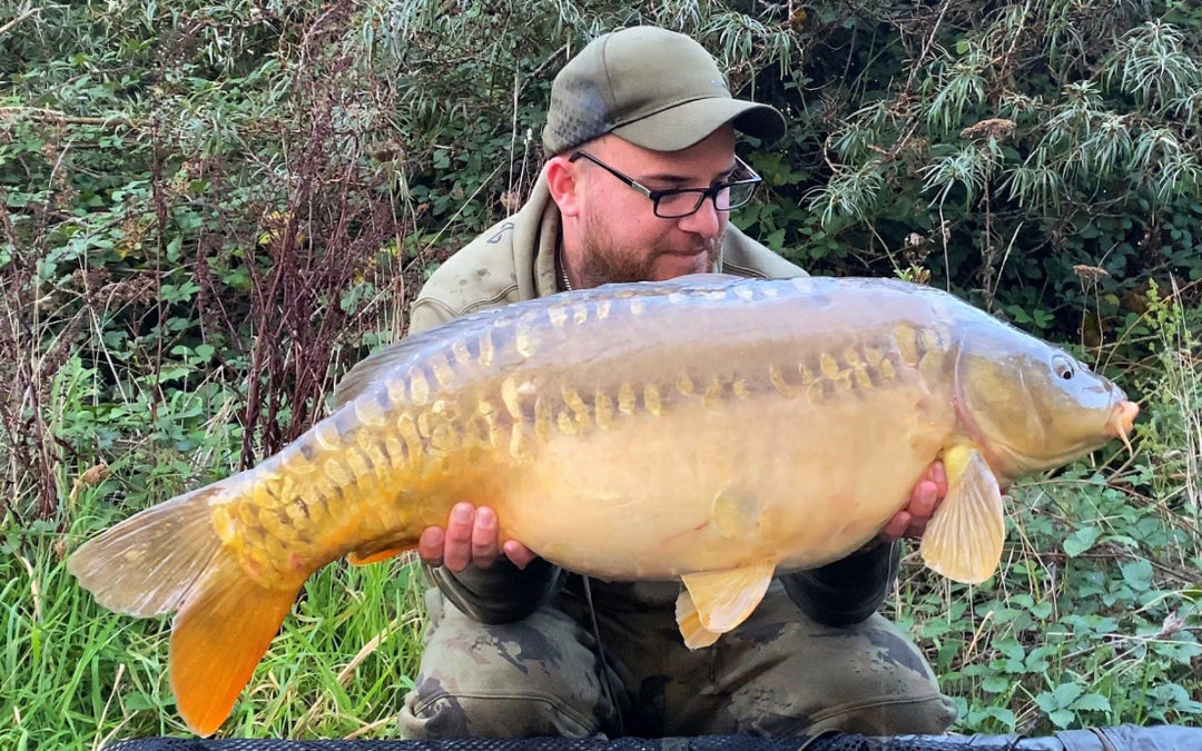 Peach of a fish