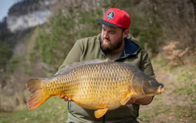 Mountain Lake Common