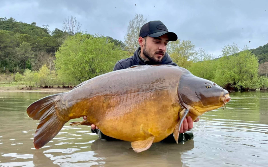 Public Water Monster