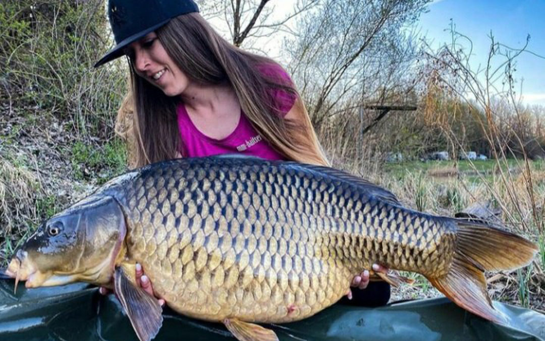 Big Common for Sandra