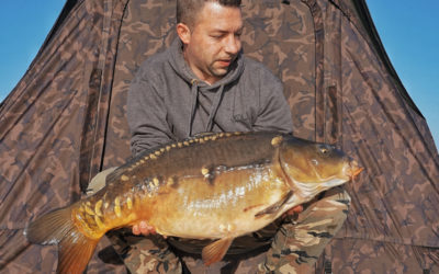 Stunning Carp