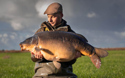 Canal Carp