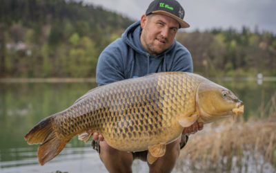 Two tone Common