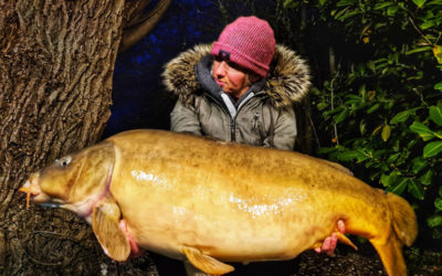 French Session Carp