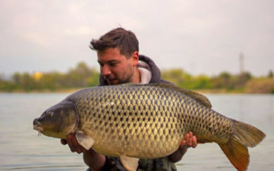 48lb pb