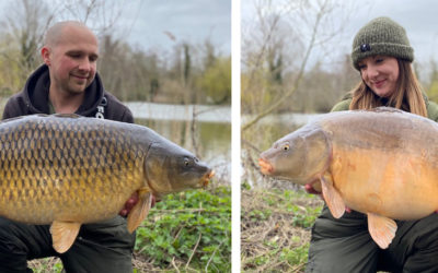 Our winter campaign – ddsh carping couple