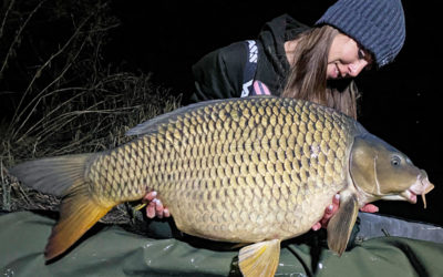 Stunning Common