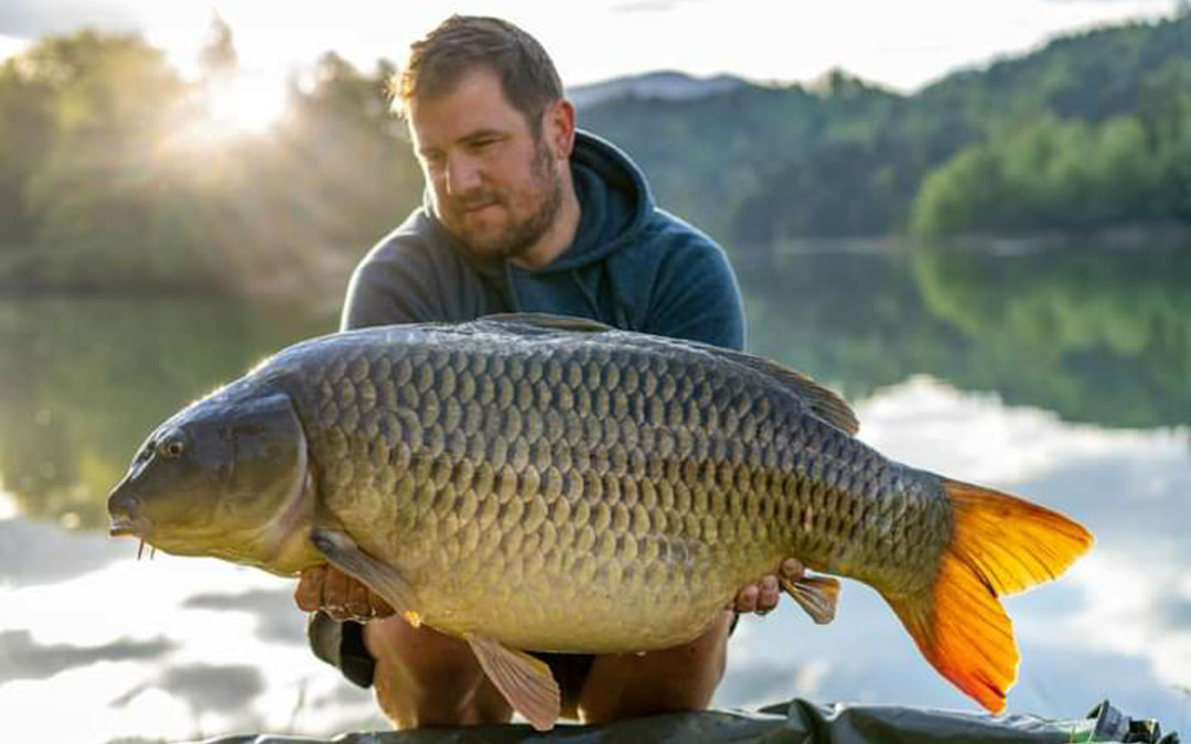 Peach of a Common