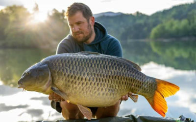 Peach of a Common
