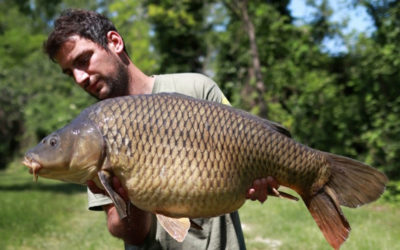 Davide Scardino