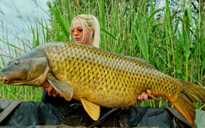 Czikora Lilla Bíró Botond 25+kg