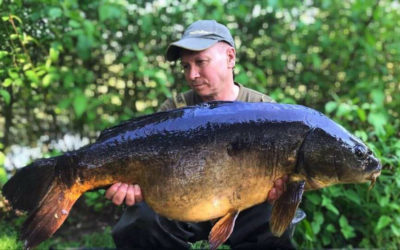 Stunning old dark Mirror