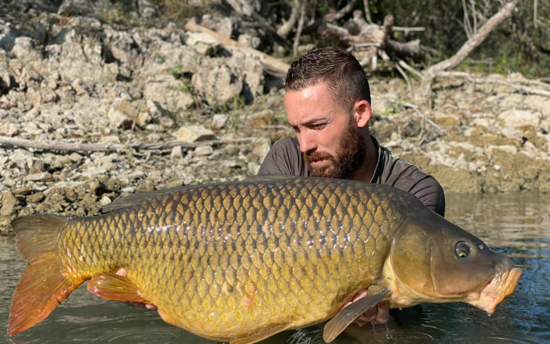 One night – One fish!