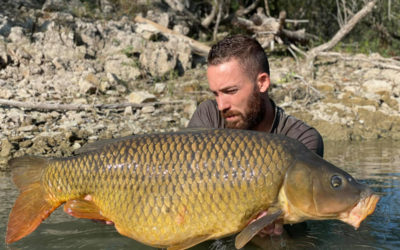 One night – One fish!