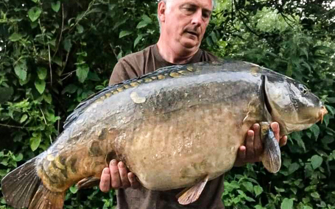 Barry Gillard