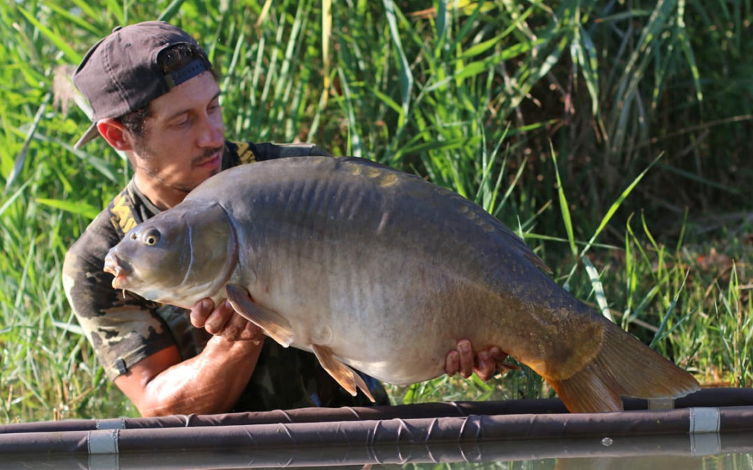 Luca Carraro