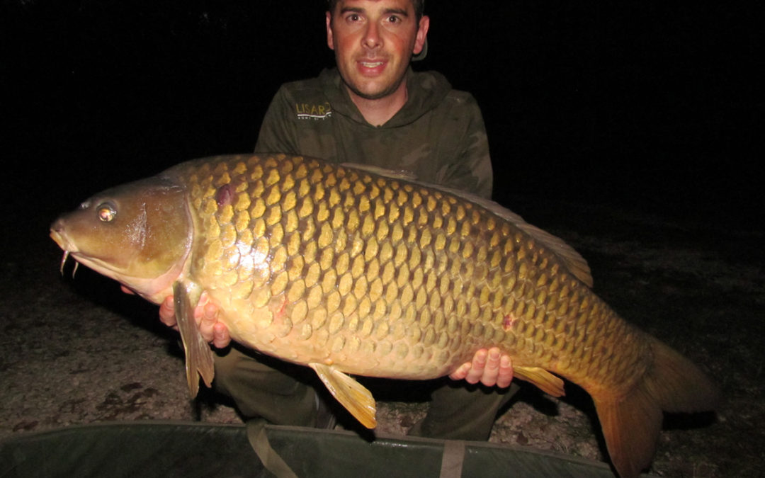 Stefke Baekelandt – September Session