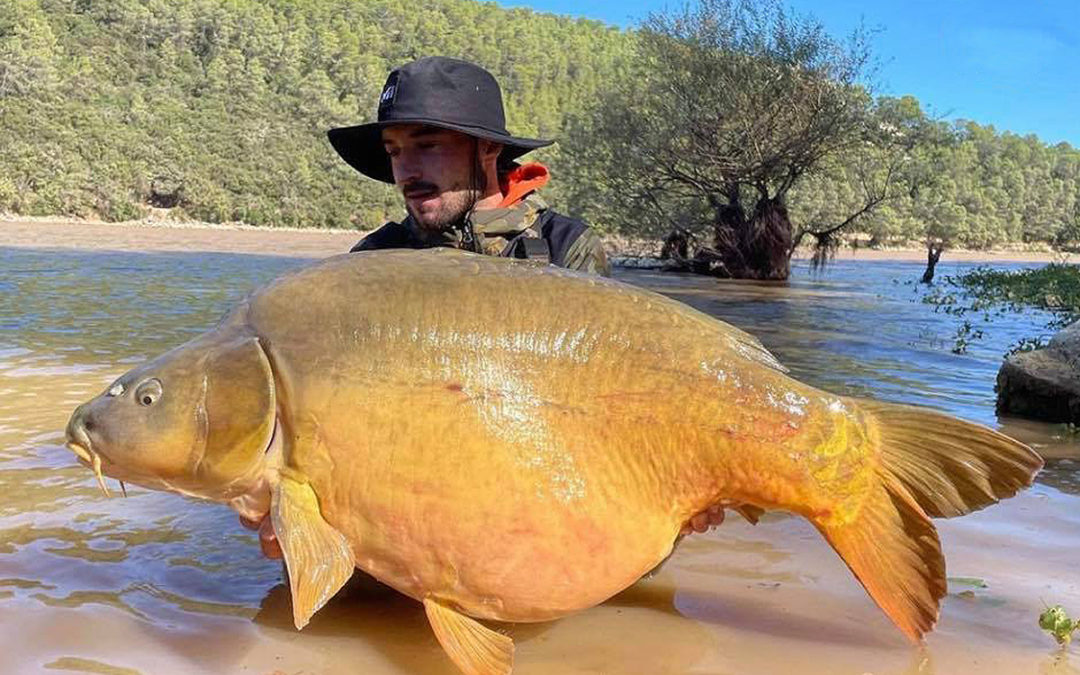 Hr Carpe Sud-est 37,6 kg PB
