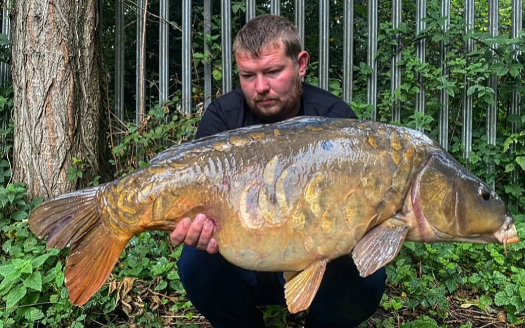 Early Autumn on the Colne Valley Syndicate.