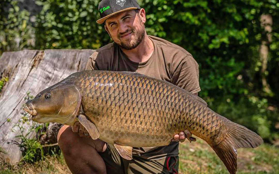 Late Autumn Common