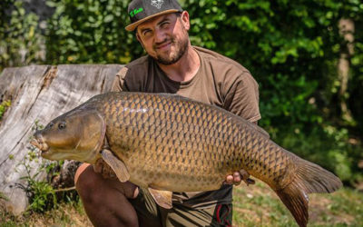 Late Autumn Common
