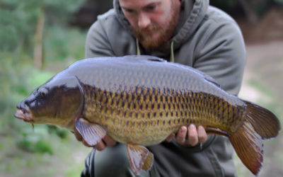 An hours stalking lead to stunning common!