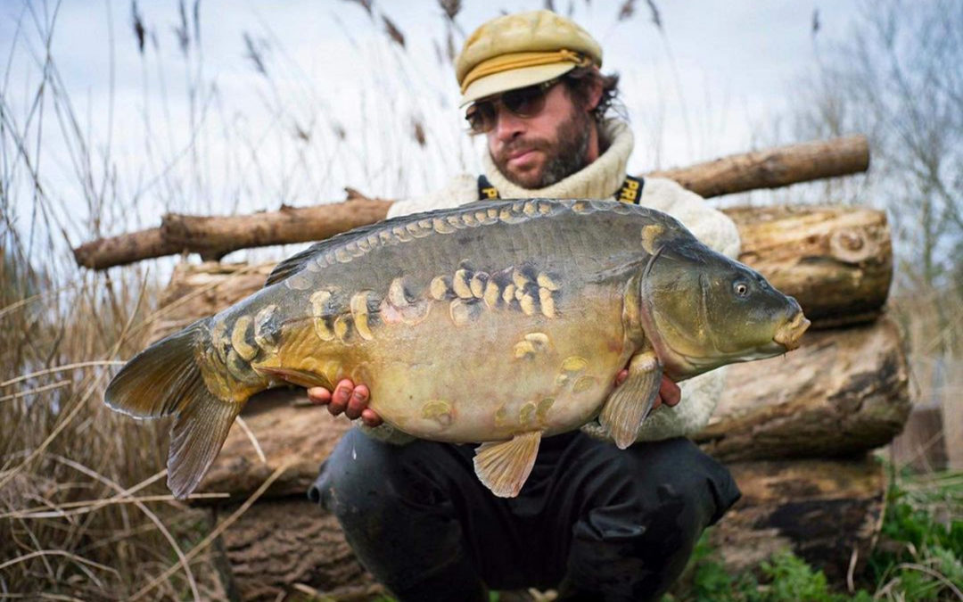 Early March Mirror